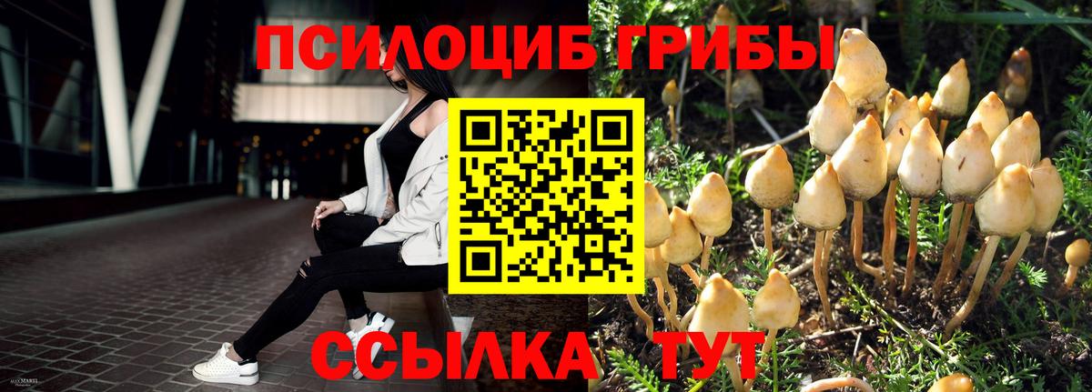 Галлюциногенные грибы мицелий  Вход с VPN  Полевской 